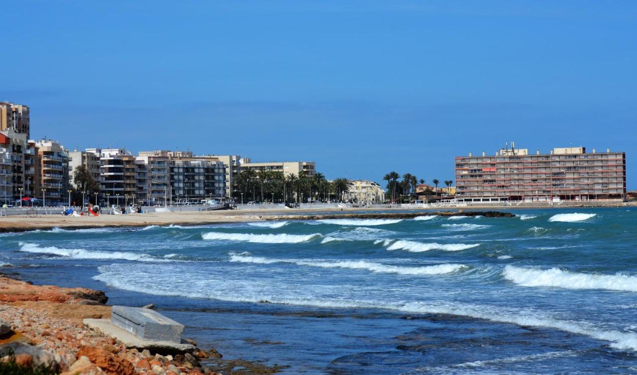 Vinas Torrevieja